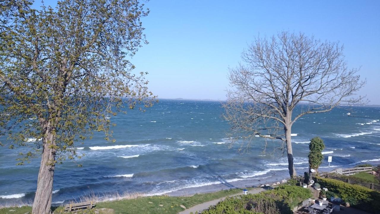 Strandappartements Steinberghaff "Kegnaes" Mit Meerblick Und Sauna Steinberg  Buitenkant foto