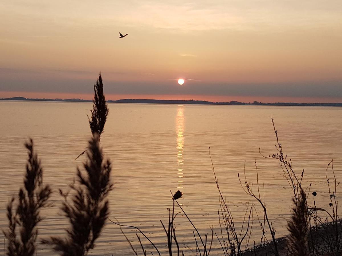 Strandappartements Steinberghaff "Kegnaes" Mit Meerblick Und Sauna Steinberg  Buitenkant foto